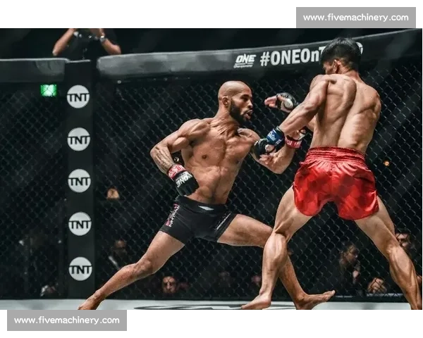 崔洪万对决方便一战引爆格斗圈力量与技术巅峰碰撞解析全面复盘前瞻